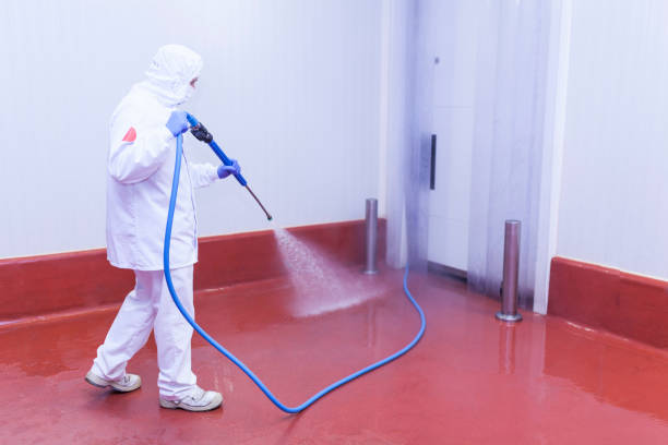 Best Pre-Holiday Cleaning  in Florence, SC
